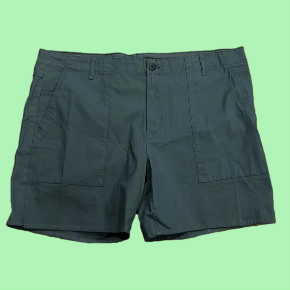 NWT Swiss Alps gray shorts